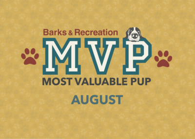 Barks & Recreation Most Valuable Pup (MVP) — August 2022