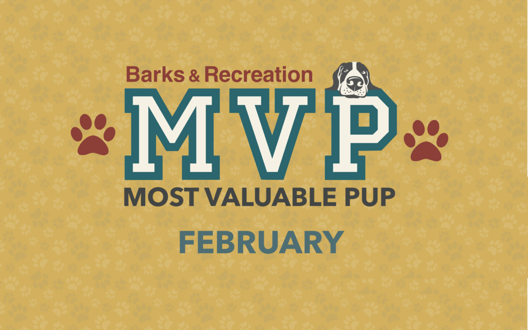 Barks & Recreation Most Valuable Pup (MVP) — February 2023