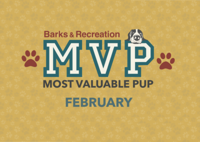 Barks & Recreation Most Valuable Pup (MVP) — February 2022