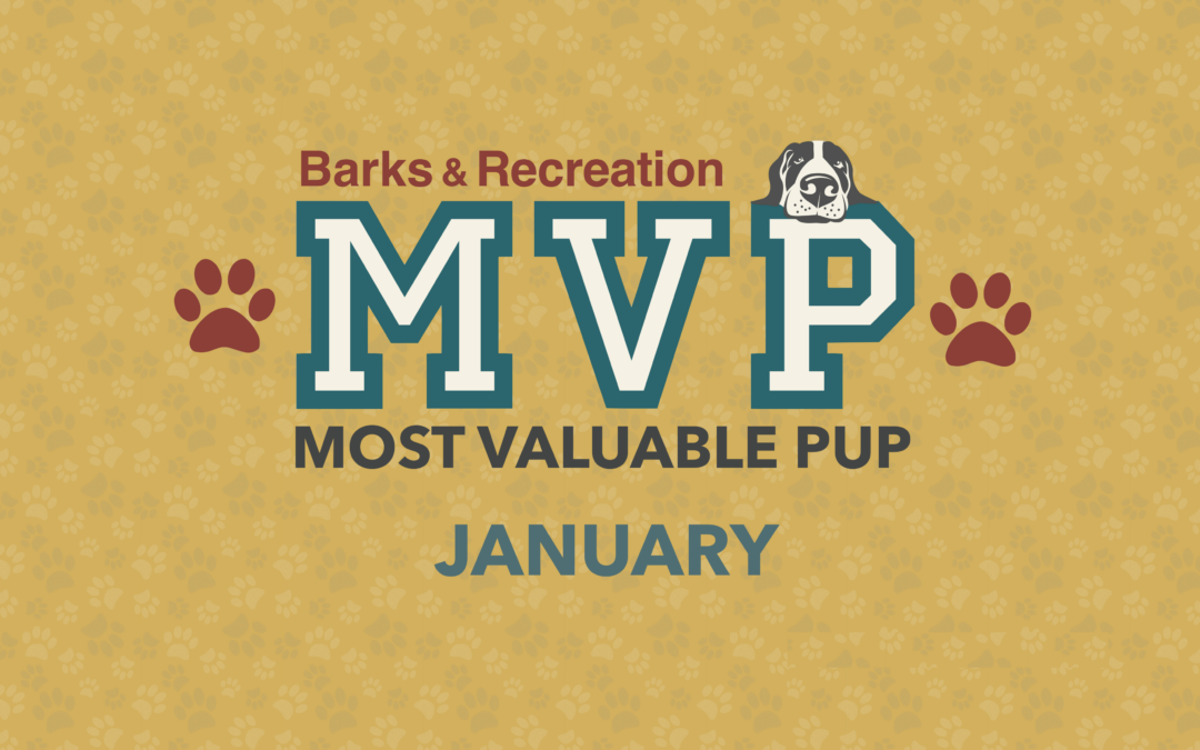 Barks & Recreation Most Valuable Pup (MVP) — January 2023