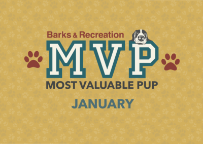 Barks & Recreation Most Valuable Pup (MVP) — January 2022