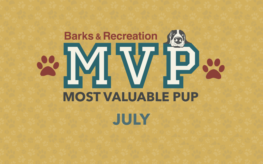 Barks & Recreation Most Valuable Pup (MVP) — July 2022