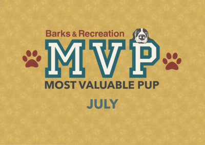 Barks & Recreation Most Valuable Pup (MVP) | July 2023