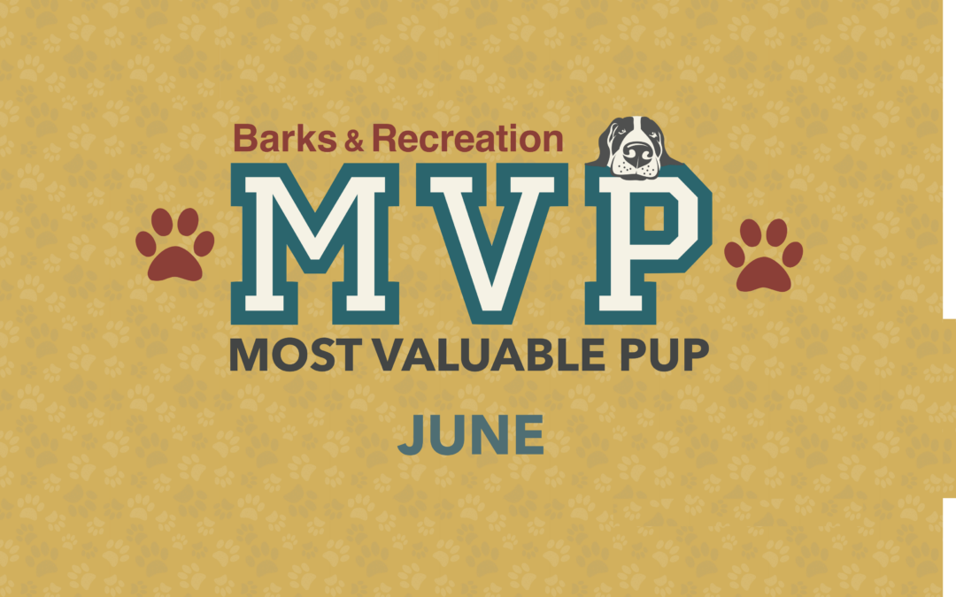Barks & Recreation Most Valuable Pup (MVP) — June 2022