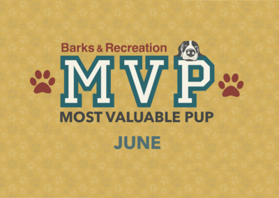 Barks & Recreation Most Valuable Pup (MVP) — June 2022
