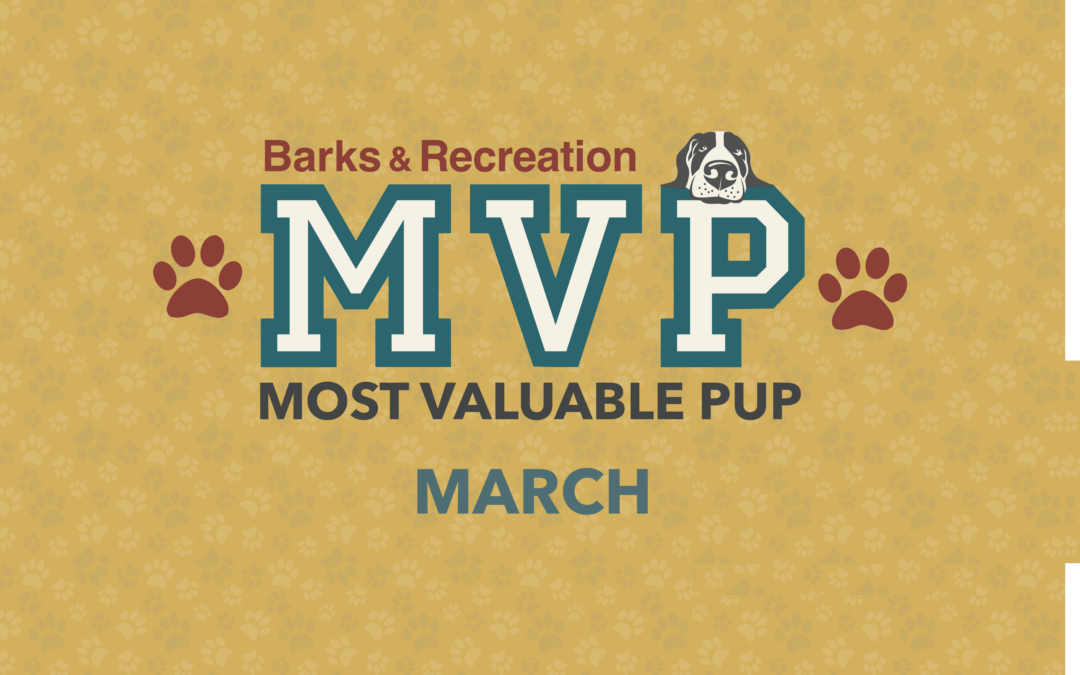 Barks & Recreation Most Valuable Pup (MVP) | March 2023