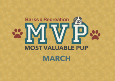 Barks & Recreation Most Valuable Pup (MVP) — March 2022