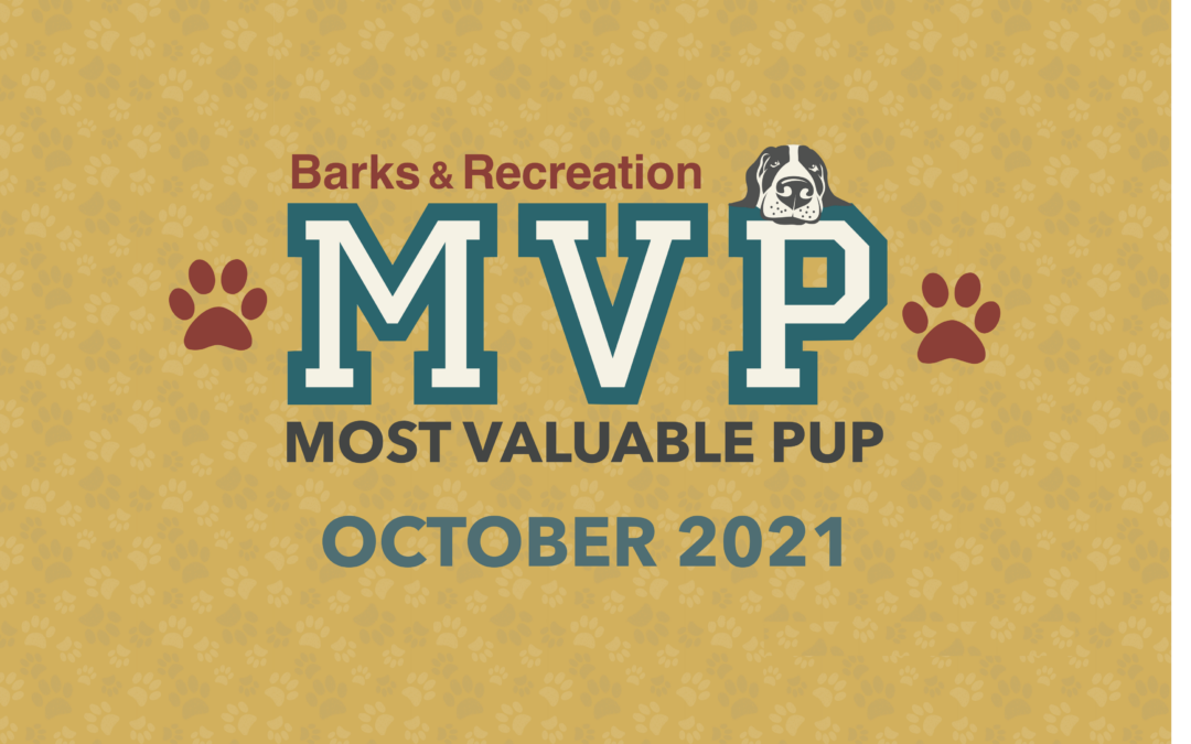 Barks & Recreation Most Valuable Pup (MVP) — October 2021