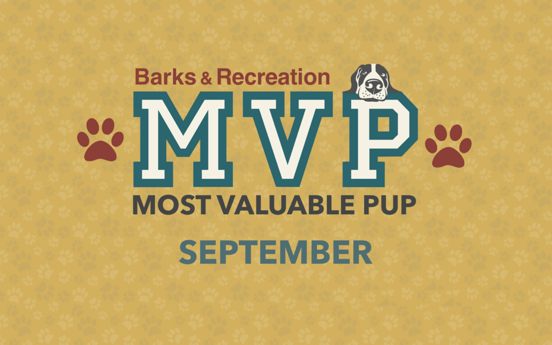 Barks & Recreation Most Valuable Pup (MVP) — September 2022