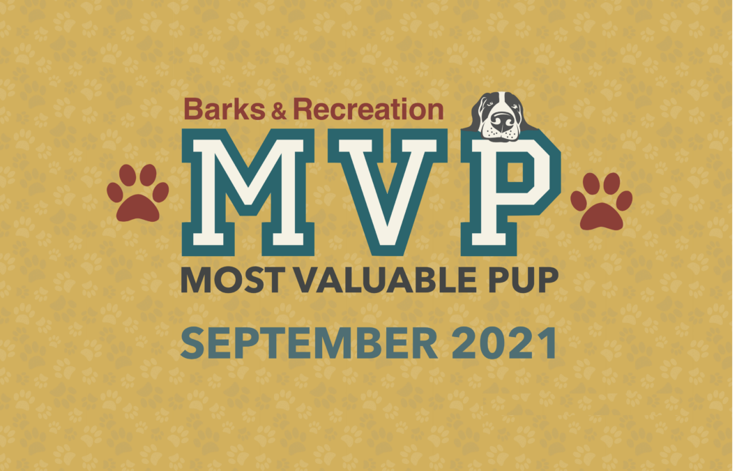 Barks & Recreation Most Valuable Pup (MVP) — September 2021