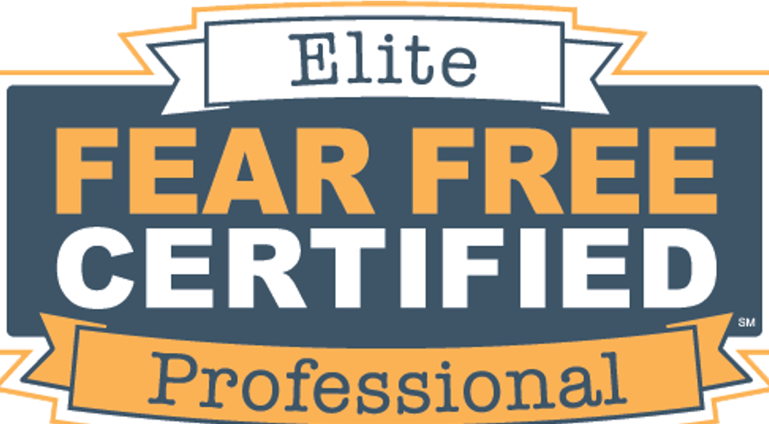 FEAR FREE | Why this Practice and Certification is SO Important