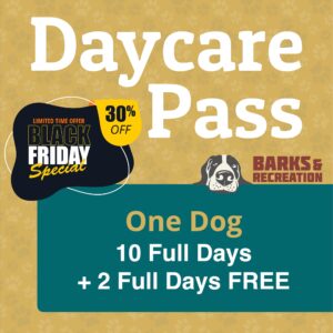 <strong style="color:#963933;">Black Friday Special 2025:</strong> Daycare Pass | 1 Dog | 10 Full Days + 2 Full Days FREE