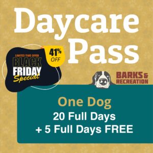 <strong style="color:#963933;">Black Friday Special 2025:</strong> Daycare Pass | 1 Dog | 20 Full Days + 5 Full Days FREE