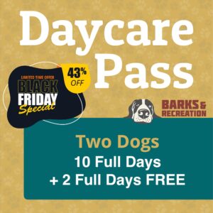 <strong style="color:#963933;">Black Friday Special 2025:</strong> Daycare Pass | 2 Dogs | 10 Full Days + 2 Full Days FREE