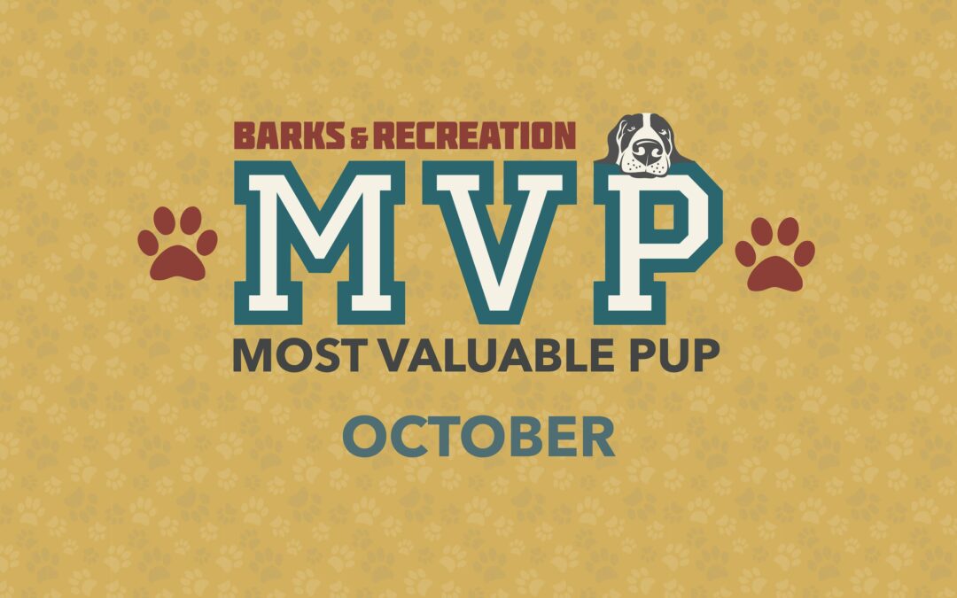 Barks & Recreation Most Valuable Pup (MVP) | October 2023