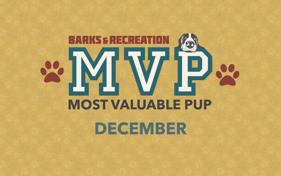 Barks & Recreation Most Valuable Pup (MVP) | December 2023