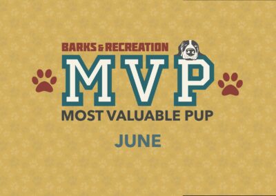 Barks & Recreation Most Valuable Pup (MVP) | June 2024