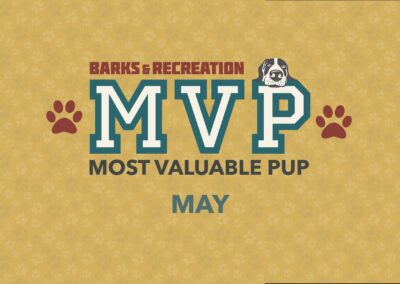 Barks & Recreation Most Valuable Pup (MVP) | May 2024