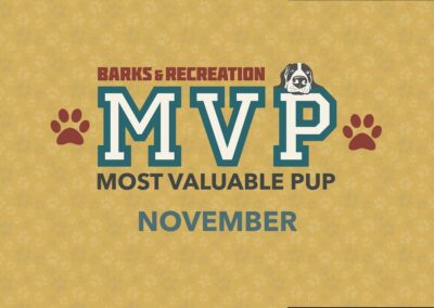 Barks & Recreation Most Valuable Pup (MVP) | November