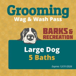 Poster advertising dog grooming: 'Grooming Wag & Wash Pass' with a dog illustration and large text showing 'Large Dog' and '5 Baths' with an expiration date.